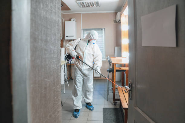 Best Emergency Mold Remediation  in Branchville, SC