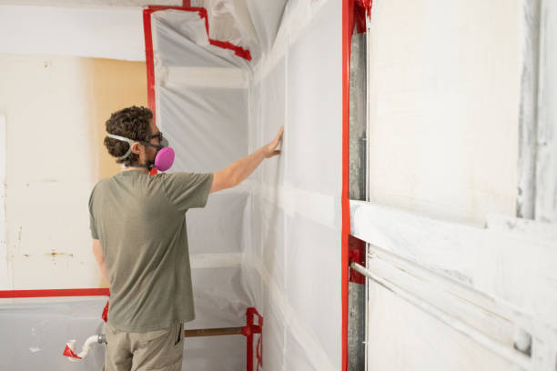 Best Crawl Space Mold Remediation  in Branchville, SC