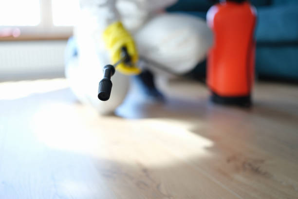 Best Real Estate Mold Inspection  in Branchville, SC