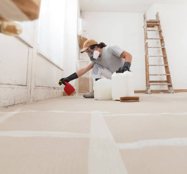 Best Mold-Related Health Consultation  in Branchville, SC